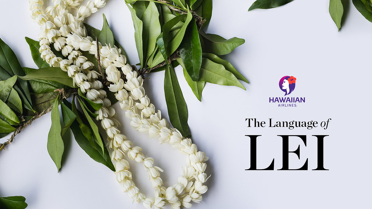 HAWAIIAN AIRLINES work 3