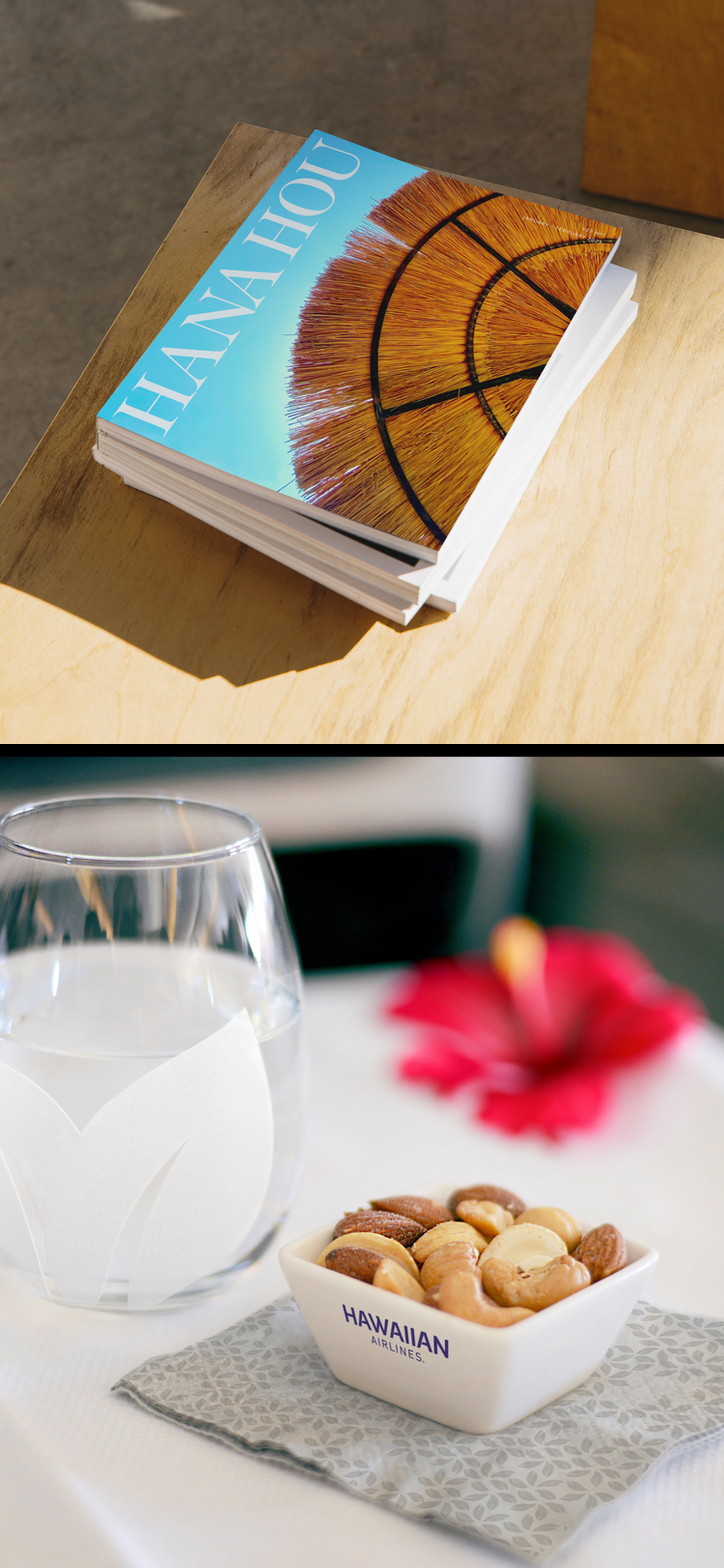 HAWAIIAN AIRLINES work 9